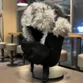 Gorro ushanka de invierno cálido y grueso con orejeras, gorro de nieve antiviento para ciclismo. - Talla única / Negro