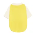 Pet clothes detail shot showcasing yellow body and white raglan sleeves for dogs and cats. - XS / Yellow Raglan
