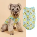 Schattig lente en zomer huisdierenvest met schattige gele eendenprint voor katten en honden. - XS / Blauw