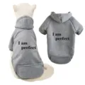 Grey fleece pet hoodie for cats and dogs, warm two-legged sweatshirt with cute slogan letter. - XXS / Gray