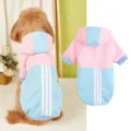 Detailed view of the color-block pet hoodie with hood and sporty stripes for small dogs. - XS / Sky Blue
