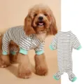 Detailed view of the striped dog pajamas with high collar and mint green cuffs for small pets. - XS(Bust 40cm Back 24cm) / White