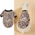 Leopard print pet sweatshirt with black ribbed collar, stylish casual dog clothes for winter. - XS (Chest 33cm, Back 24cm) / Brown Leopard