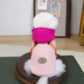 Warm winter dog jacket detail showing pink hooded design, attached harness and cute patch. - S / Rose Red