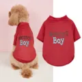 Rood mesh huisdier t-shirt met Mommy's Boy print, ademende zomerhondenkleding voor huisdieren. - XS / Rood
