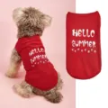 Gros plan détaillé du gilet d'été rouge pour animal avec un bel imprimé Hello Summer mignon. - Rouge