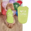 Gilet d'été vert pour animaux de compagnie chiens et chats avec lettres Hello Summer et pattes. - Vert