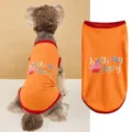 Detailed close-up view of the orange pet vest showing birthday boy graphic and red trim. - XS / Orange