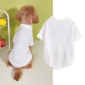 Breathable mesh pet t-shirt detail view, lightweight summer dog clothes for small breeds. - XS / White