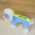 Warm fleece pet dog jumpsuit winter clothes colorful cute puppy outfit for daily outdoor walks - S / Blue