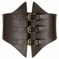 Wide dark brown corset belt for women, retro Y2K style with three metal buckles, elastic. - Coffee