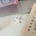 Sweet starfish hair clip for women, fresh style duckbill clip for daily wear and styling. - White