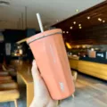 Peach pink faceted stainless steel straw tumbler, insulated office coffee cup for daily use. - 600ml / Orange