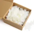 White preserved asparagus fern dried flowers for DIY crafts, floral arrangement and home decor. - 30 Stems Pack / White