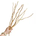Natural curly willow dried branches for home wabi-sabi style floor vase decoration. - About 50CM Longsang Original Color (10 Stems/Bundle) / Original Color