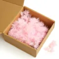 Pink preserved asparagus fern dried flowers for DIY craft cards and frame decor. - 30 Stems Pack / Light Pink