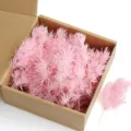 Pink preserved pine DIY dried flowers natural plant material for handmade crafts decor. - 30 Stems Pack / Sakura Pink