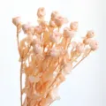 Preserved small rose bouquet for DIY floral arrangement, aromatherapy candles and home decor. - Preserved Small Rose Orange [About 5 Branches, About 18 Flower Heads]
