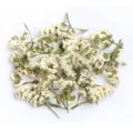 White dried statice flowers for DIY crafts, epoxy resin casting, and scented candles. - 20g/Pack / White