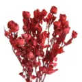 Preserved multi-head mini roses dried flowers for DIY crafts home decor and candle sets. - Preserved Small Rose Red [About 5 Branches, About 18 Flower Heads]
