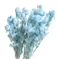 Light blue preserved small roses bouquet real dried flowers for DIY floral arrangement decor. - Preserved Small Rose Blue [About 5 Branches, About 18 Flower Heads]