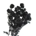 Black preserved miniature rose bouquet for DIY floral arrangement, epoxy resin and candle craft. - Preserved Small Rose Black [About 5 Branches, About 18 Flower Heads]