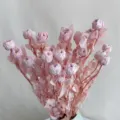 Preserved pink mini roses bouquet for DIY floral arrangement and home decor aesthetics. - Preserved Small Rose Light Pink [About 5 Branches, About 18 Flower Heads]