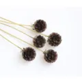Natural dried scabiosa flower pods stems bouquet for home decor DIY floral arrangements - 1 Bundle 5 Branches / Black