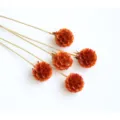 Dried Pincushion Flowers Natural Orange Botanical Stems for Home Decor DIY Craft Arrangements - 1 Bundle 5 Branches / Orange