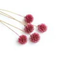Pink dried scabiosa pin cushion flowers bunch for DIY craft home decor floral arrangements - 1 Bundle 5 Branches / Pink Purple