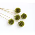 Natural dried green pincushion flower stems for home decor, DIY floral arrangement crafts. - 1 Bundle 5 Branches / Yellow-Green