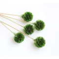 Green Scabiosa dried flower stems for DIY floral arrangement and home decor 5pcs - 1 Bundle 5 Branches / Green