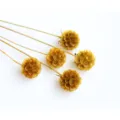 Natural dried scabiosa flower stems yellow seed heads for DIY home decor floral arrangements - 1 Bundle 5 Branches / Yellow
