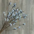 Natural dried eucalyptus small fruit branches, premium white frosted botanical home decor. - White