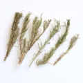 Natural dried rosemary branches stems for DIY crafts aromatherapy and home decoration items - 20g Pack / Natural Color
