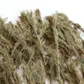 Natural dried rosemary branches stems for aromatherapy craft DIY Christmas decor spices. - 1kg Pack / Natural Color