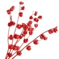 Natural red dried physalis branches for home decor, floral arrangement and festive display. - Red Lantern Fruit Branches