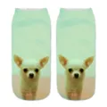 Calzini corti con stampa 3D di cane chihuahua bianco per adulti, simpatici calzini animali. - Taglia unica / A331