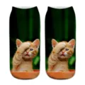 Cute 3D printed cat short socks funny novelty ankle socks for women and men daily wear - One Size / A098