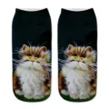 Women 3D oil painting cat print short socks, cute fluffy pet design novelty ankle socks. - One Size / A398