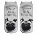 Close-up detail of cute pug dog print short ankle socks with inspirational English text. - One Size / A796