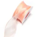 Pink sheer organza ribbon roll detail shot, translucent fabric craft DIY decorative trim. - Solid Edge Fishtail (F6040) / 4cm Width 9m/Roll / Champagne