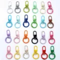 Clés mousqueton en métal coloré accessoires bijoux DIY anneaux variante lot affichage - Couleur Mélangée - Aléatoire - Boucle de Porte + Anneau à Ressort