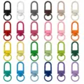 Colorful metal swivel snap hooks and D-ring keychains, perfect for DIY bag charms and accessories. - Colorful