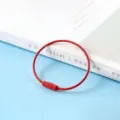 Porte-clés en câble d'acier revêtu rouge avec fermeture à vis pour accessoires de bijoux. - Rouge