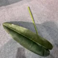 Closeup detail of artificial banana leaf decor, realistic vein pattern for home decor. - 1 Piece/Pack / Dark Green