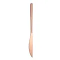 Cuchillo de cena occidental de acero inoxidable acabado oro rosa, estilo coreano grueso. - Rosa oro