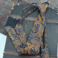 Blue and gold paisley pattern detail of luxury men zipper necktie with vintage court style. - Short Zipper Style / 48x8cm
