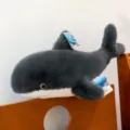 Large simulation shark plush toy detailed view, soft stuffed marine animal doll for kids and gifts. - Shark / 25cm