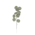 Artificial eucalyptus branch fake silver dollar leaves for DIY floral home decoration - 10 Heads Round Leaves